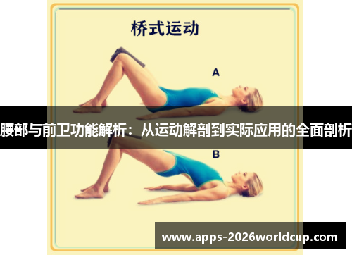 腰部与前卫功能解析：从运动解剖到实际应用的全面剖析